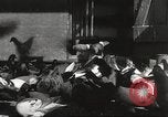 Standbild Tauben freigegeben Jackson Heights Long Island New York USA, 1932, aus Sekunde 44 historischem Filmmaterial Videoclip 65675062521