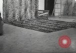 Image tapis de peau de Fourrure Léopard massives en provenance de la Corée Pueblo Colorado USA, 1951, de la seconde 17 séquences d'archives historiques vidéo 65675062527