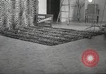 Image tapis de peau de Fourrure Léopard massives en provenance de la Corée Pueblo Colorado USA, 1951, de la seconde 18 séquences d'archives historiques vidéo 65675062527