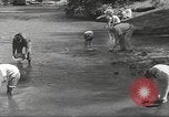 Image chercheurs d'or Dahlonega Georgia USA, 1951, de la seconde 17 séquences d'archives historiques vidéo 65675062528