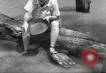 Image chercheurs d'or Dahlonega Georgia USA, 1951, de la seconde 30 séquences d'archives historiques vidéo 65675062528