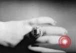 Image of international jewelery exhibition Spain, 1950, second 49 stock footage video 65675062534