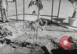 Image of Queen Elizabeth II Jamaica, 1953, second 35 stock footage video 65675062537