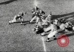 Image of football match Los Angeles California USA, 1953, second 61 stock footage video 65675062542