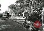 Standbild A-4 Rakete Peenemunde Deutschland, 1943, aus Sekunde 41 historischem Filmmaterial Videoclip 65675062553