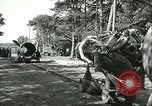 Standbild A-4 Rakete Peenemunde Deutschland, 1943, aus Sekunde 43 historischem Filmmaterial Videoclip 65675062553