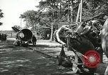 Standbild A-4 Rakete Peenemunde Deutschland, 1943, aus Sekunde 48 historischem Filmmaterial Videoclip 65675062553