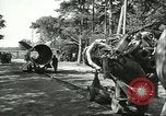 Standbild A-4 Rakete Peenemunde Deutschland, 1943, aus Sekunde 49 historischem Filmmaterial Videoclip 65675062553