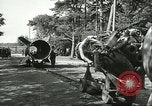 Standbild A-4 Rakete Peenemunde Deutschland, 1943, aus Sekunde 50 historischem Filmmaterial Videoclip 65675062553