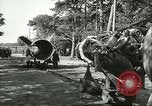 Standbild A-4 Rakete Peenemunde Deutschland, 1943, aus Sekunde 51 historischem Filmmaterial Videoclip 65675062553