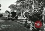 Standbild A-4 Rakete Peenemunde Deutschland, 1943, aus Sekunde 52 historischem Filmmaterial Videoclip 65675062553