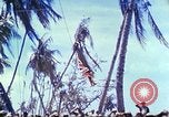 Image of Battle of Tarawa Pacific Ocean, 1943, second 59 stock footage video 65675062561