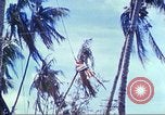 Image of Battle of Tarawa Pacific Ocean, 1943, second 60 stock footage video 65675062561