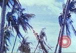 Image of Battle of Tarawa Pacific Ocean, 1943, second 61 stock footage video 65675062561