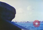 Image of Battle of Tarawa Pacific Ocean, 1943, second 10 stock footage video 65675062562