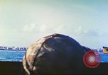 Image of Battle of Tarawa Pacific Ocean, 1943, second 14 stock footage video 65675062562