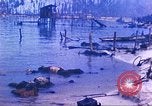Image Bataille de Tarawa Océan Pacifique, 1943, de la seconde 48 séquences d'archives historiques vidéo 65675062563