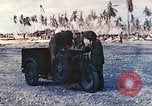 Image of United States Marines Tarawa Gilbert Islands, 1944, second 11 stock footage video 65675062568