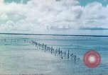 Image of United States Marines Tarawa Gilbert Islands, 1944, second 47 stock footage video 65675062568