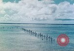 Image of United States Marines Tarawa Gilbert Islands, 1944, second 48 stock footage video 65675062568