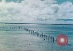 Image of United States Marines Tarawa Gilbert Islands, 1944, second 50 stock footage video 65675062568