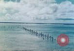 Image of United States Marines Tarawa Gilbert Islands, 1944, second 51 stock footage video 65675062568