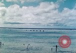 Image of United States Marines Tarawa Gilbert Islands, 1944, second 54 stock footage video 65675062568