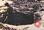 Image of United States Marines Tarawa Gilbert Islands, 1944, second 6 stock footage video 65675062570