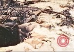Image of United States Marines Tarawa Gilbert Islands, 1944, second 10 stock footage video 65675062570