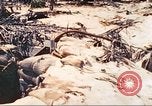 Image of United States Marines Tarawa Gilbert Islands, 1944, second 12 stock footage video 65675062570