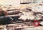 Image of United States Marines Tarawa Gilbert Islands, 1944, second 19 stock footage video 65675062570