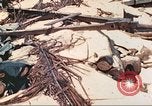Image of United States Marines Tarawa Gilbert Islands, 1944, second 34 stock footage video 65675062570