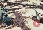 Image of United States Marines Tarawa Gilbert Islands, 1944, second 35 stock footage video 65675062570
