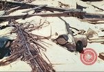 Image of United States Marines Tarawa Gilbert Islands, 1944, second 36 stock footage video 65675062570