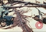 Image of United States Marines Tarawa Gilbert Islands, 1944, second 38 stock footage video 65675062570