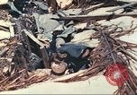 Image of United States Marines Tarawa Gilbert Islands, 1944, second 40 stock footage video 65675062570