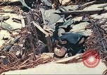 Image of United States Marines Tarawa Gilbert Islands, 1944, second 41 stock footage video 65675062570