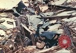 Image of United States Marines Tarawa Gilbert Islands, 1944, second 44 stock footage video 65675062570