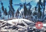 Image of United States Marines Tarawa Gilbert Islands, 1944, second 60 stock footage video 65675062570