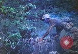 Image of United States Marines Saipan Northern Mariana Islands, 1944, second 47 stock footage video 65675062571