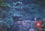 Image of United States Marines Saipan Northern Mariana Islands, 1944, second 49 stock footage video 65675062571