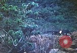 Image of United States Marines Saipan Northern Mariana Islands, 1944, second 50 stock footage video 65675062571