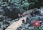 Image of United States Marines Saipan Northern Mariana Islands, 1944, second 4 stock footage video 65675062578