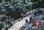 Image of United States Marines Saipan Northern Mariana Islands, 1944, second 5 stock footage video 65675062578