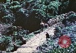 Image of United States Marines Saipan Northern Mariana Islands, 1944, second 6 stock footage video 65675062578