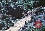 Image of United States Marines Saipan Northern Mariana Islands, 1944, second 7 stock footage video 65675062578