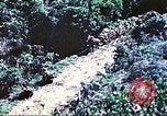 Image of United States Marines Saipan Northern Mariana Islands, 1944, second 9 stock footage video 65675062578