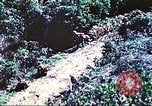 Image of United States Marines Saipan Northern Mariana Islands, 1944, second 10 stock footage video 65675062578