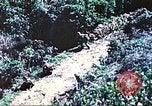 Image of United States Marines Saipan Northern Mariana Islands, 1944, second 11 stock footage video 65675062578