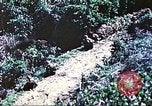 Image of United States Marines Saipan Northern Mariana Islands, 1944, second 12 stock footage video 65675062578